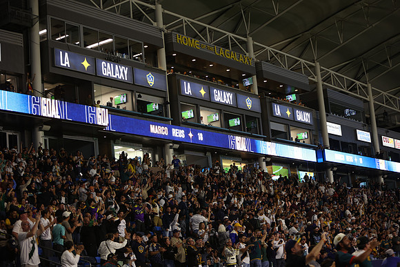 0404026_LAGalaxyvsMinnesota_GA_06027