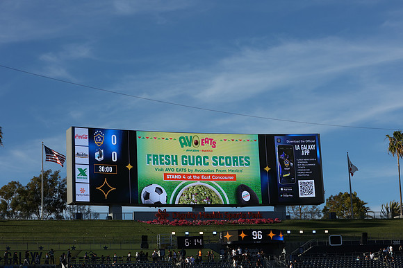 0404026_LAGalaxyvsMinnesota_GA_01433