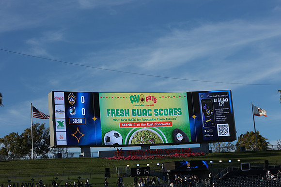 0404026_LAGalaxyvsMinnesota_GA_01432