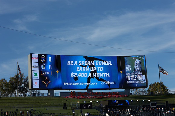0404026_LAGalaxyvsMinnesota_GA_01426