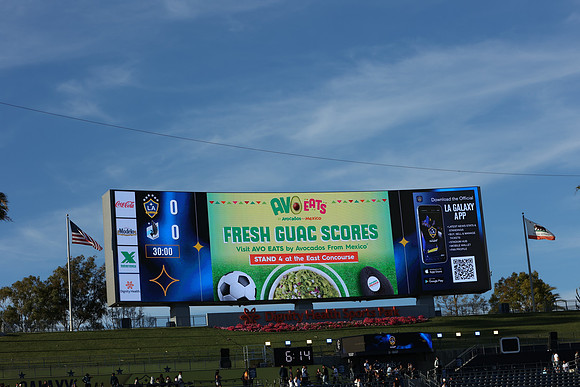 0404026_LAGalaxyvsMinnesota_GA_01430