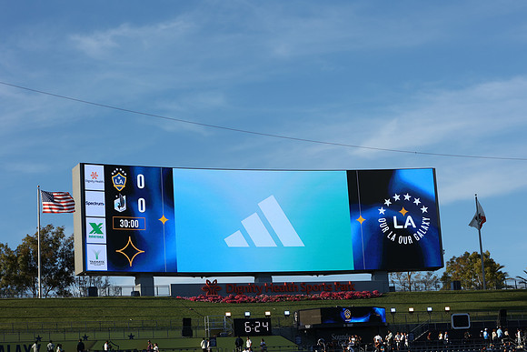 0404026_LAGalaxyvsMinnesota_GA_01587