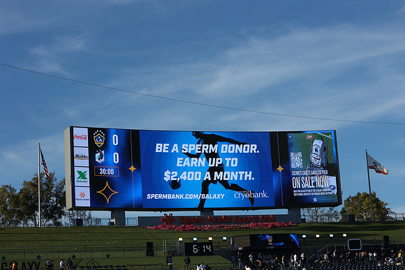 0404026_LAGalaxyvsMinnesota_GA_01425