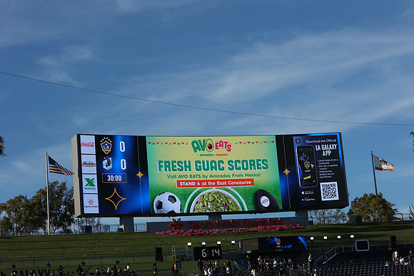 0404026_LAGalaxyvsMinnesota_GA_01431