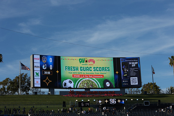 0404026_LAGalaxyvsMinnesota_GA_01435