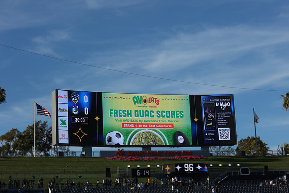 0404026_LAGalaxyvsMinnesota_GA_01434