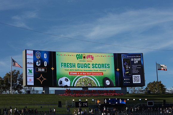0404026_LAGalaxyvsMinnesota_GA_01436