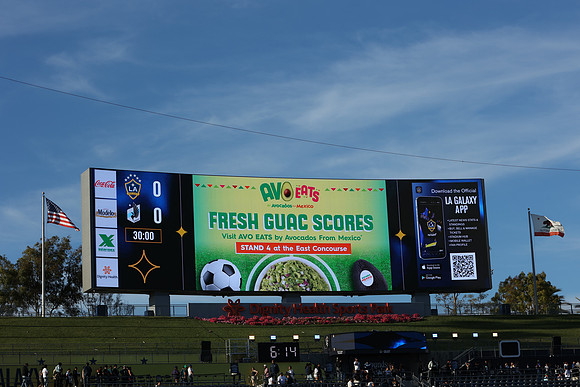 0404026_LAGalaxyvsMinnesota_GA_01437