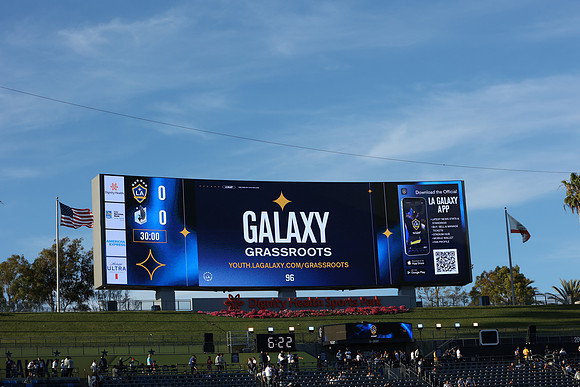 0404026_LAGalaxyvsMinnesota_GA_01533