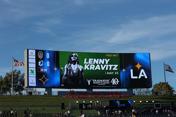 0404026_LAGalaxyvsMinnesota_GA_01491