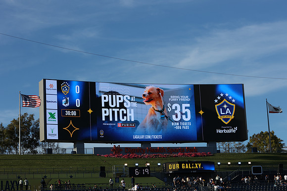 0404026_LAGalaxyvsMinnesota_GA_01495