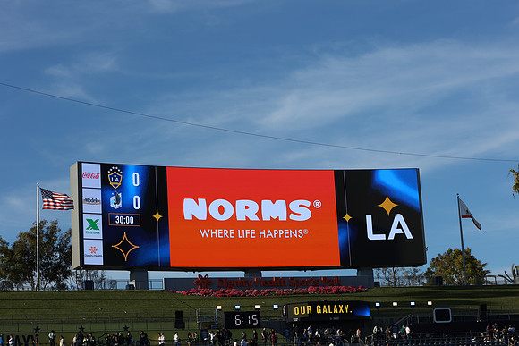 0404026_LAGalaxyvsMinnesota_GA_01441