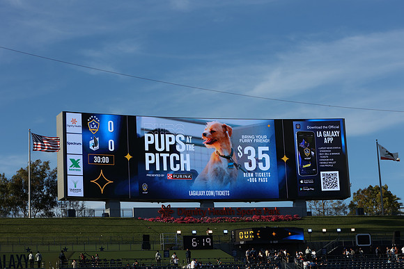 0404026_LAGalaxyvsMinnesota_GA_01496