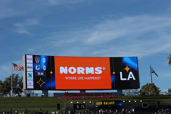 0404026_LAGalaxyvsMinnesota_GA_01440