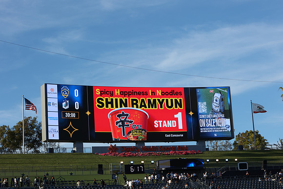 0404026_LAGalaxyvsMinnesota_GA_01471