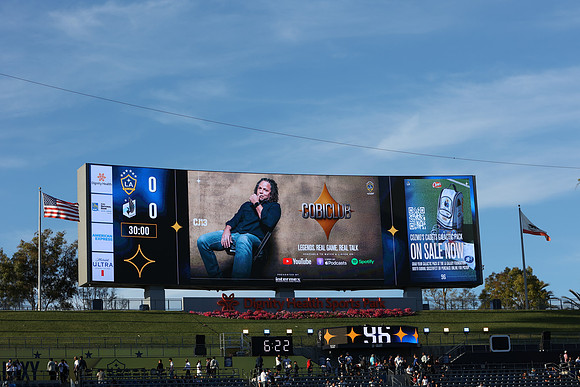 0404026_LAGalaxyvsMinnesota_GA_01538