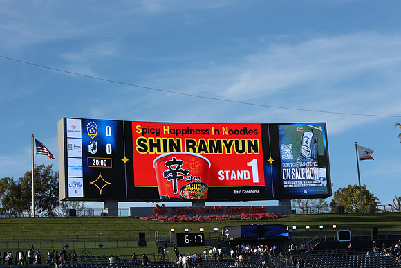 0404026_LAGalaxyvsMinnesota_GA_01470