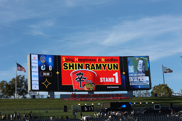 0404026_LAGalaxyvsMinnesota_GA_01472