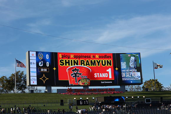 0404026_LAGalaxyvsMinnesota_GA_01473