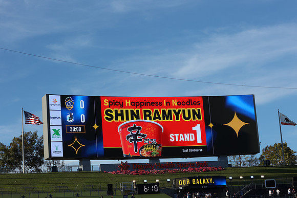 0404026_LAGalaxyvsMinnesota_GA_01475