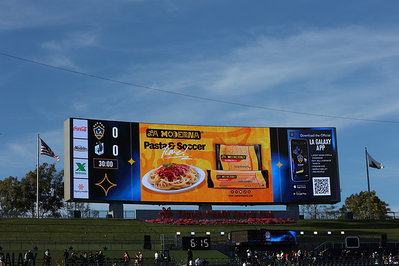 0404026_LAGalaxyvsMinnesota_GA_01439