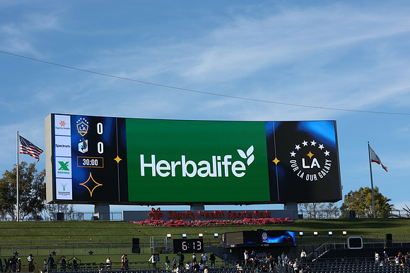 0404026_LAGalaxyvsMinnesota_GA_01411
