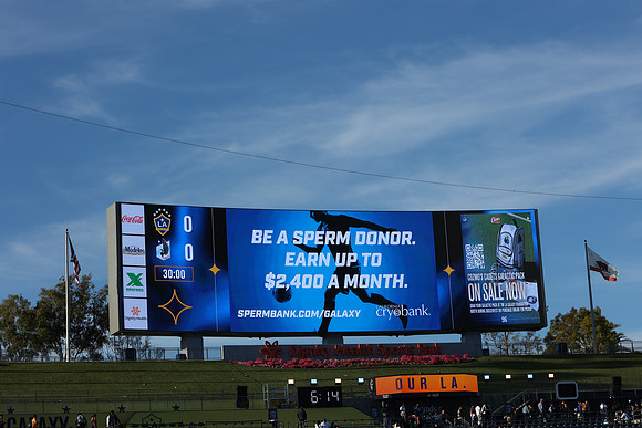 0404026_LAGalaxyvsMinnesota_GA_01428