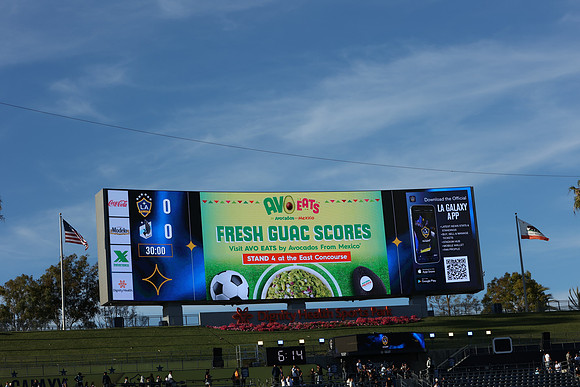 0404026_LAGalaxyvsMinnesota_GA_01429