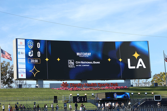 0404026_LAGalaxyvsMinnesota_GA_01359