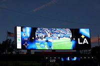 0404026_LAGalaxyvsMinnesota_GA_01088
