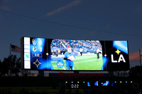 0404026_LAGalaxyvsMinnesota_GA_01089