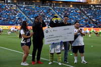 0404026_LAGalaxyvsMinnesota_GA_01149