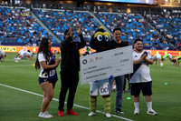 0404026_LAGalaxyvsMinnesota_GA_01148