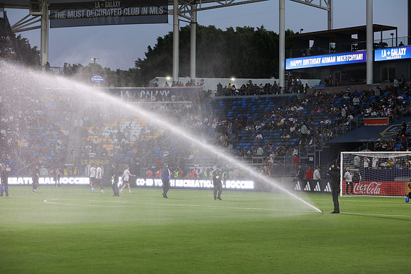 0404026_LAGalaxyvsMinnesota_GA_01232