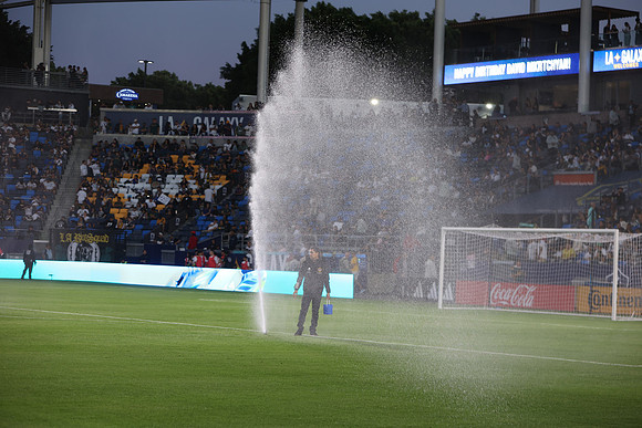 0404026_LAGalaxyvsMinnesota_GA_01296