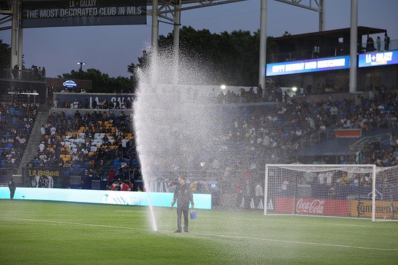 0404026_LAGalaxyvsMinnesota_GA_01299