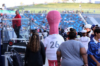 Carl Mascot