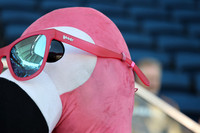 08012026_LAGalaxyvsFCDallas_GA_0291