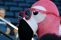 08012026_LAGalaxyvsFCDallas_GA_0285