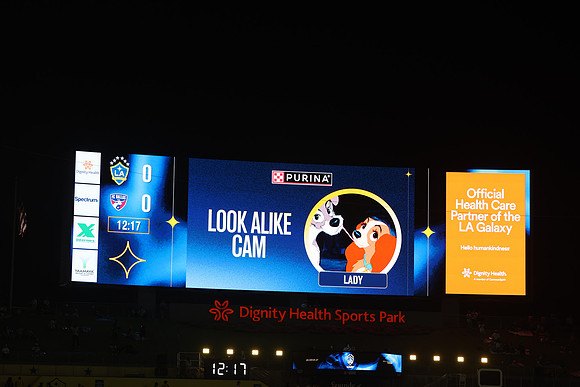 08012026_LAGalaxyvsFCDallas_GA_8425