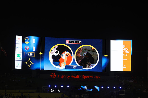 08012026_LAGalaxyvsFCDallas_GA_8431