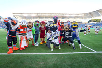 Welcome Mascot