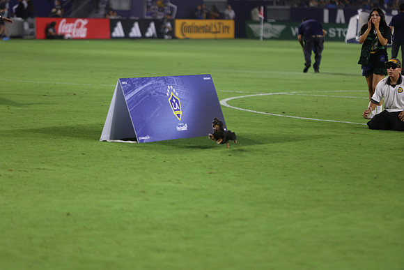 09122026_LAGalaxyvsSeattle_GA_04622