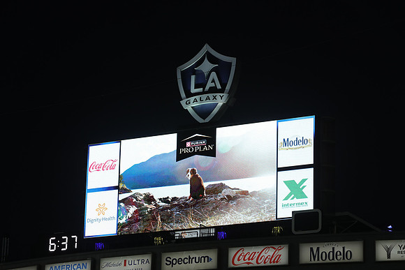 20261017_LAGalaxyvsSanDiego_GA_08425