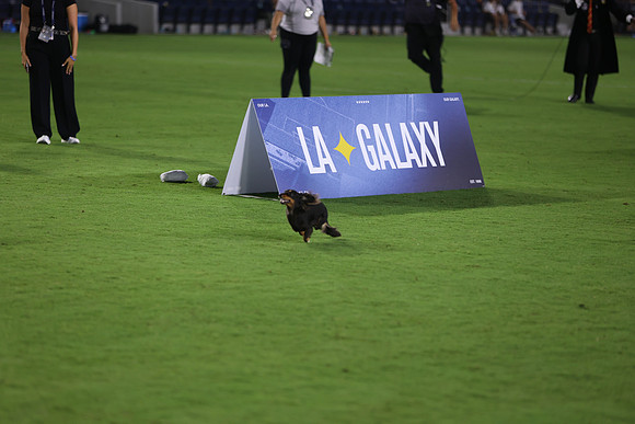 09122026_LAGalaxyvsSeattle_GA_04629