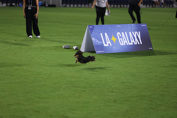 09122026_LAGalaxyvsSeattle_GA_04631