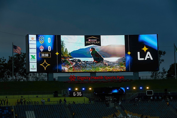 20260926_Galvscol_VP_1233