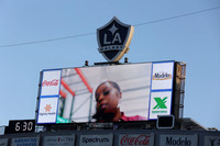 South Video Boards
