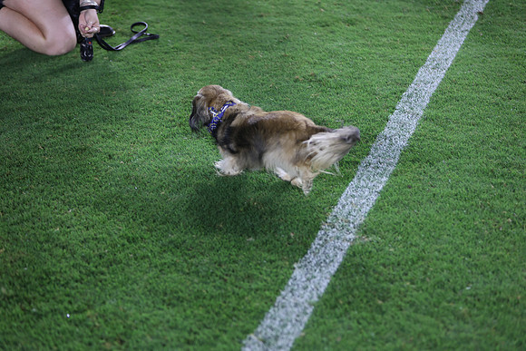 09122026_LAGalaxyvsSeattle_GA_04647