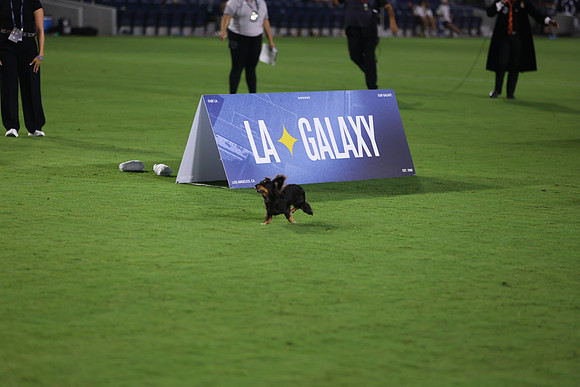 09122026_LAGalaxyvsSeattle_GA_04628